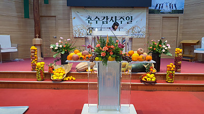 2025 추수감사주일 강단장식