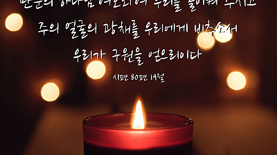 2025년 11월 30일 교회소식