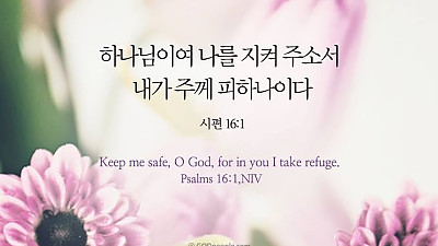 2026년 4월 12일 교회소식