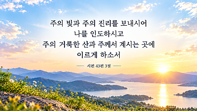 2026년 11월 1일 교회소식