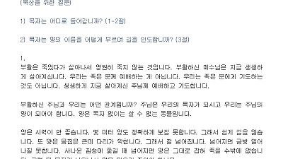 (부활절 4-1) 선한 목자의 넘치는 사랑을 받은 양 (설교문)